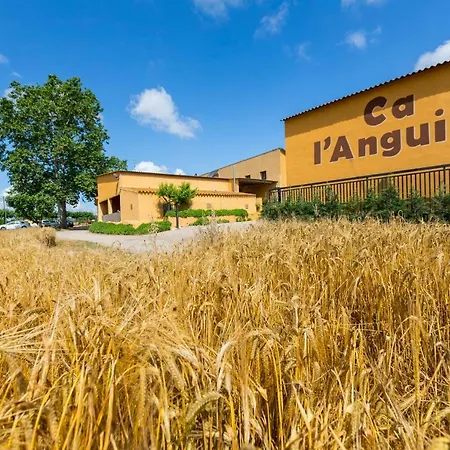 Εξοχικό σπίτι Turisme Rural Ca L,anguila