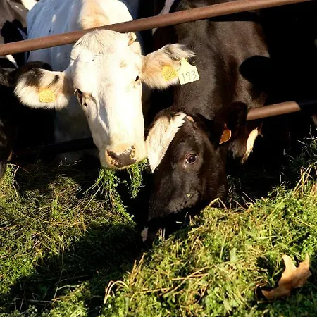 Turisme Rural Ca L,anguila Peratallada