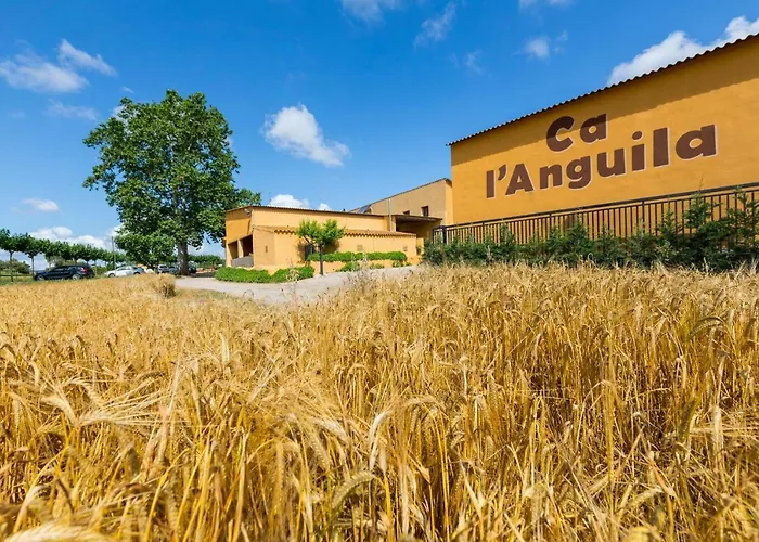 カントリーハウス Turisme Rural Ca L,anguila